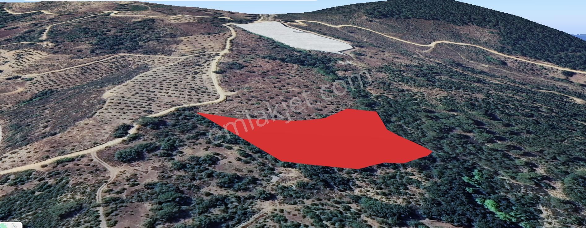 Zeytinada Mahallesinde Uygun Fiyat 10 Dönüm Tarla - Görsel 3