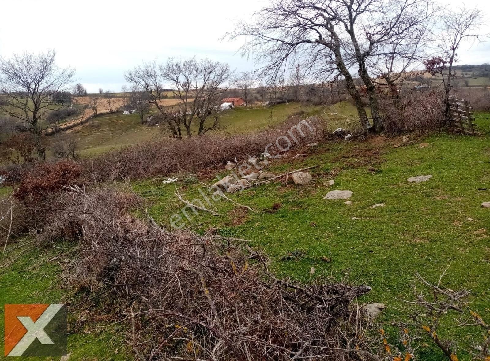 Binax Bakırçay Gayrimenkul 49365 M2 Durmuşlar Tarla Müstakil - Görsel 7