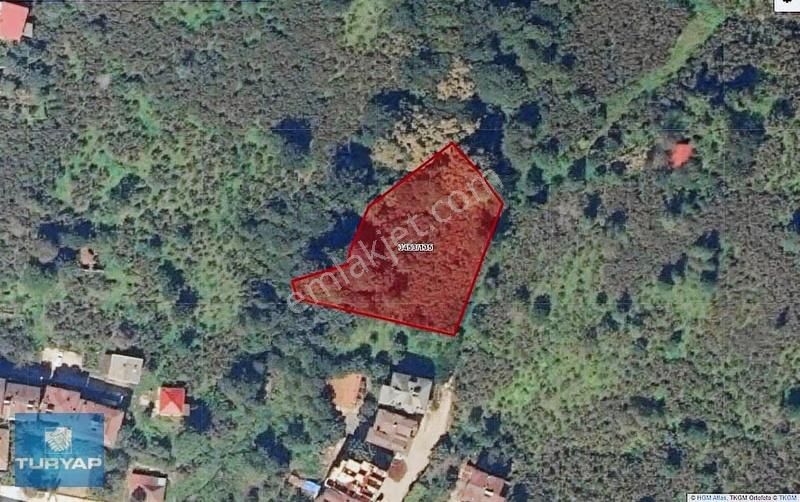 Ordu Fatsa Yalıköyde Satılık 2.272 M2. Arsa - Görsel 3