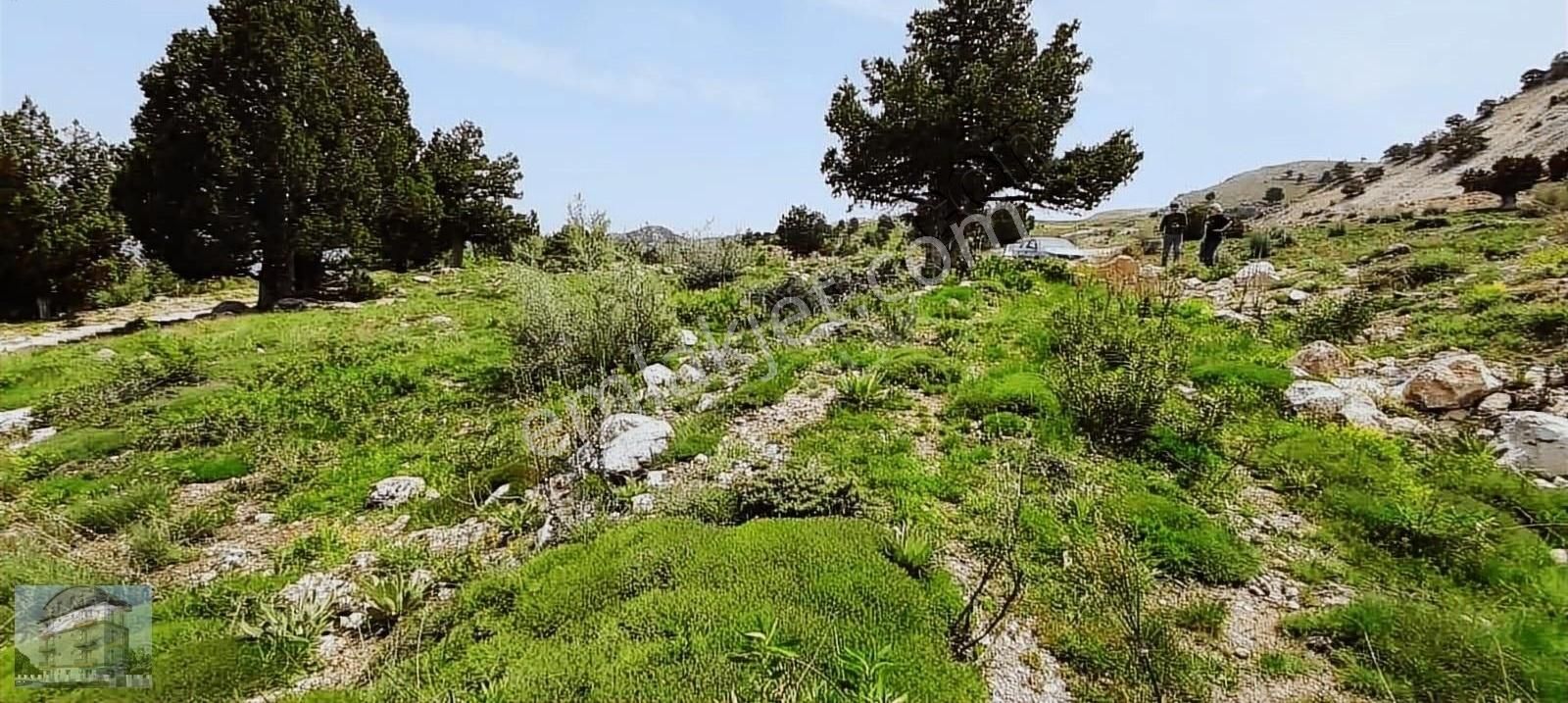 Antalya Konyaaltı Geyikbayrında Satılık 600m Villa İstanbul - Görsel 2