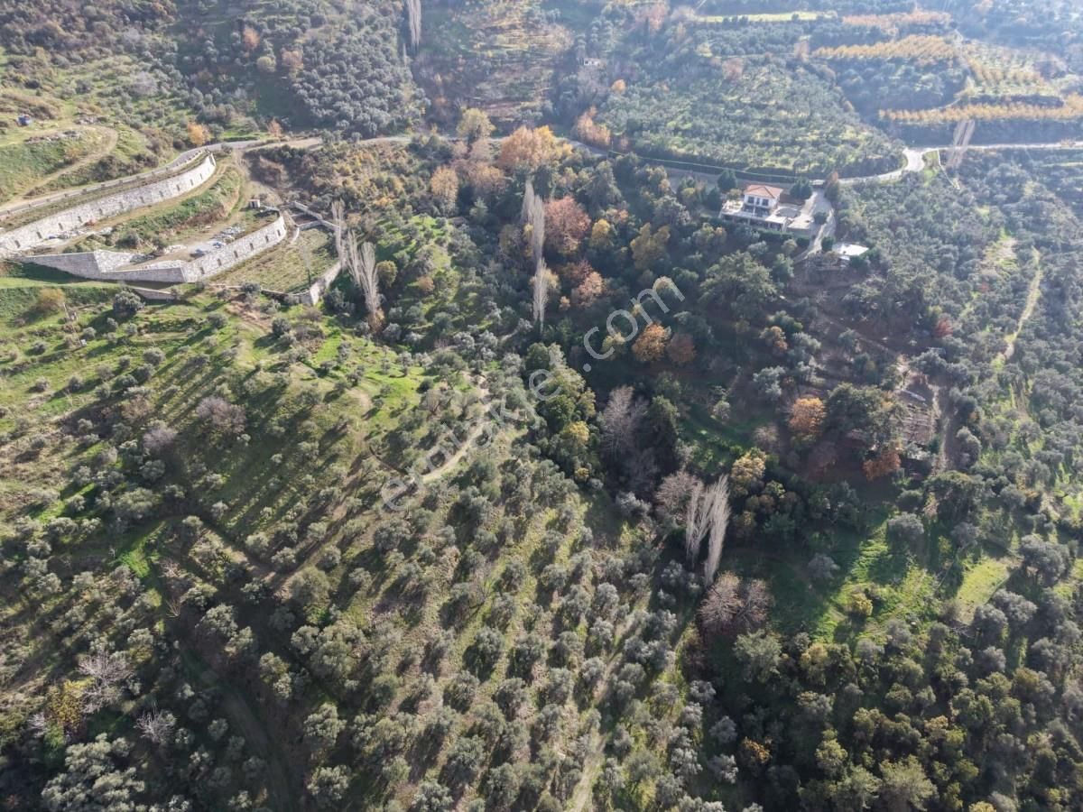 Şirincede Yatırımlık 43 Dönüm Satılık Çiftlik Evi Ve Arazisi - Görsel 8