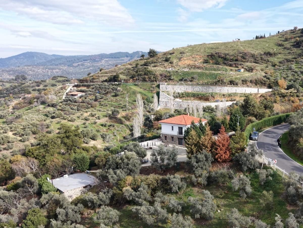 Şirincede Yatırımlık 43 Dönüm Satılık Çiftlik Evi Ve Arazisi - Görsel 13