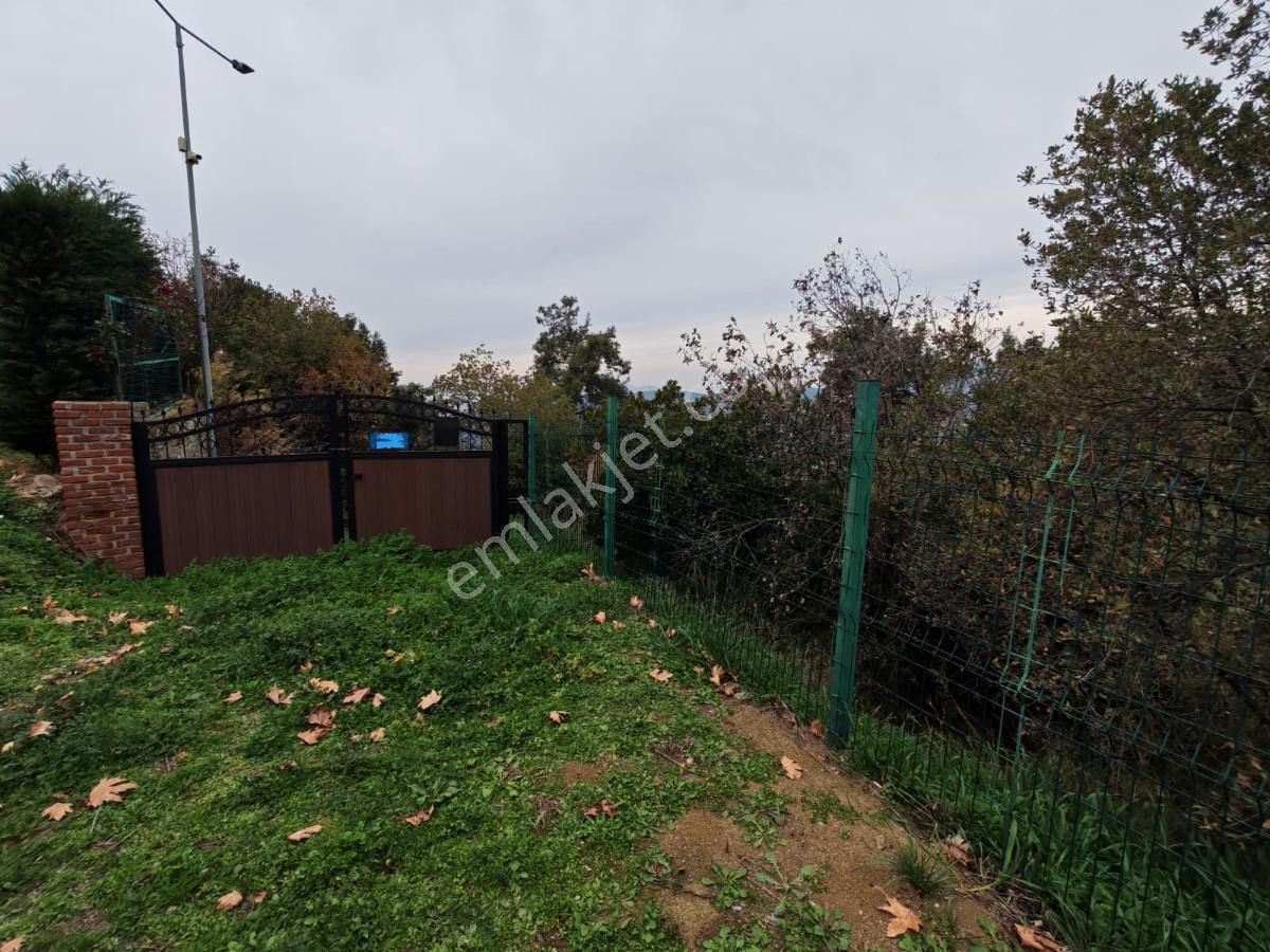 Şirincede Yatırımlık 43 Dönüm Satılık Çiftlik Evi Ve Arazisi - Görsel 31