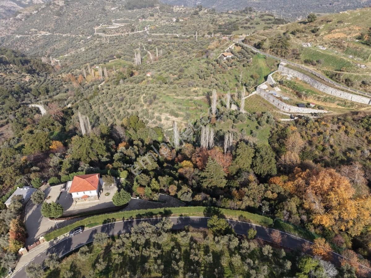 Şirincede Yatırımlık 43 Dönüm Satılık Çiftlik Evi Ve Arazisi - Görsel 12