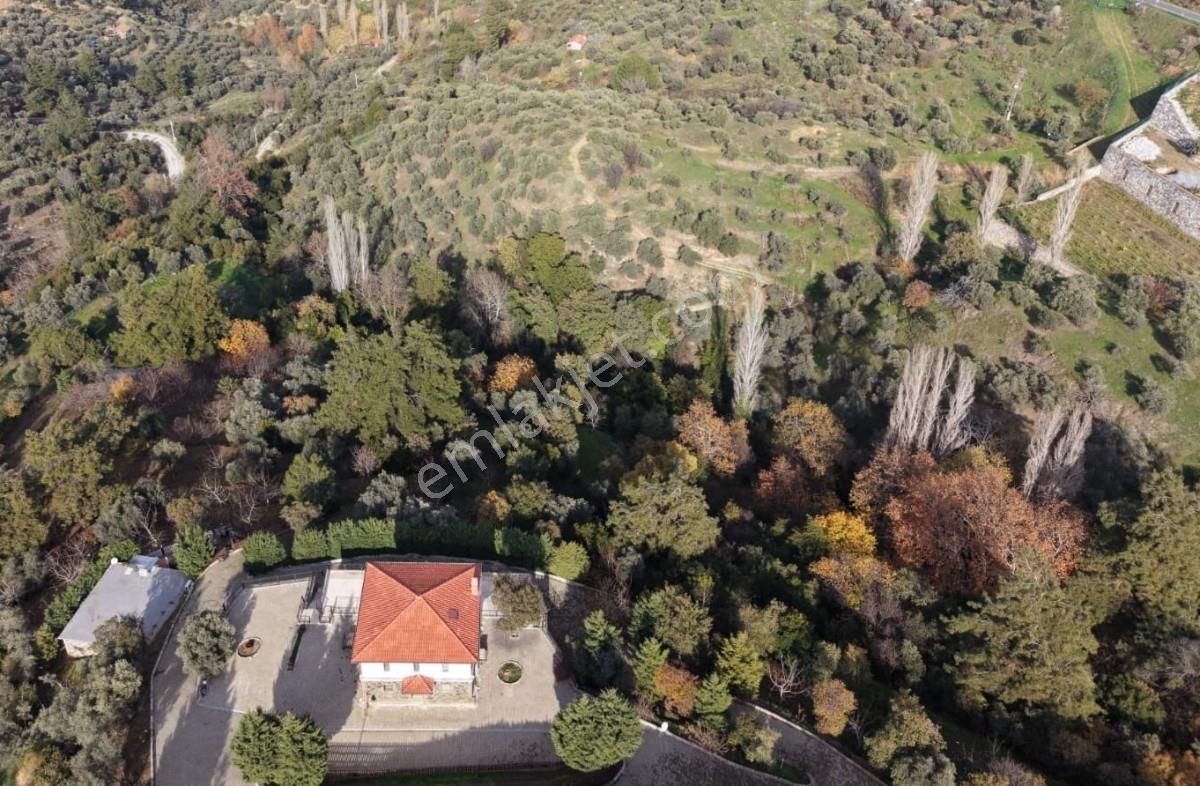 Şirincede Yatırımlık 43 Dönüm Satılık Çiftlik Evi Ve Arazisi - Görsel 11