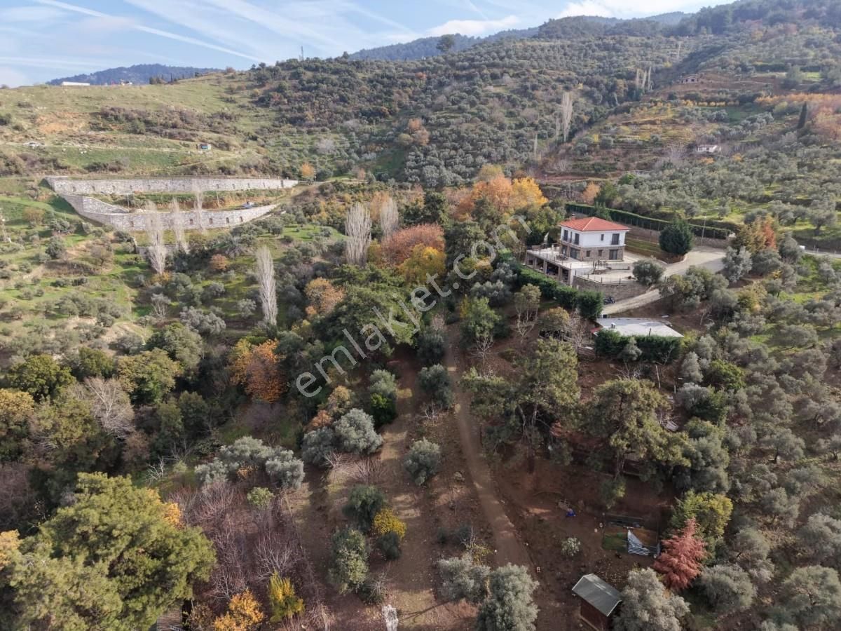 Şirincede Yatırımlık 43 Dönüm Satılık Çiftlik Evi Ve Arazisi - Görsel 15