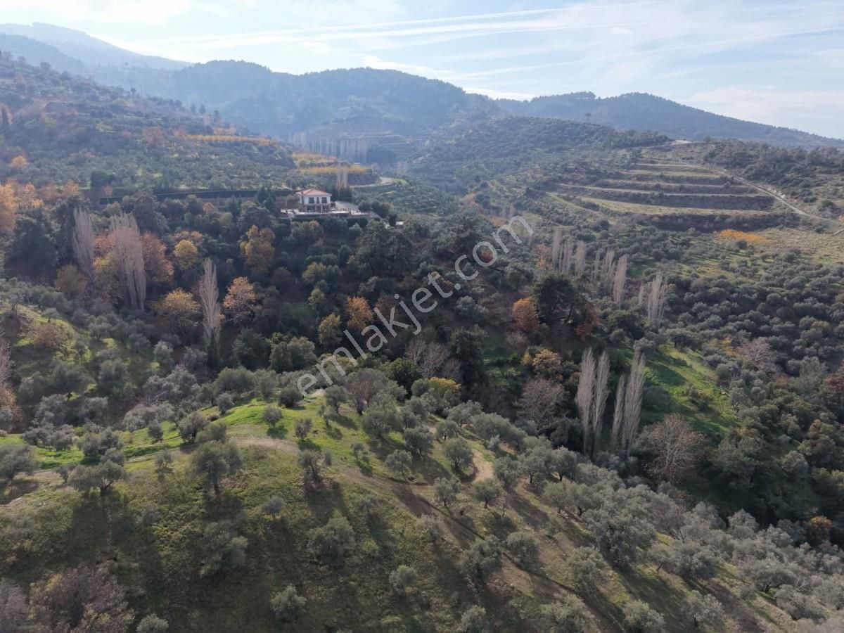 Şirincede Yatırımlık 43 Dönüm Satılık Çiftlik Evi Ve Arazisi - Görsel 9