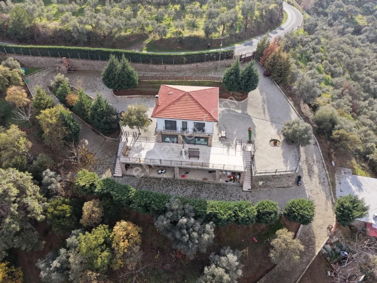 Şirincede Yatırımlık 43 Dönüm Satılık Çiftlik Evi Ve Arazisi - Görsel 3