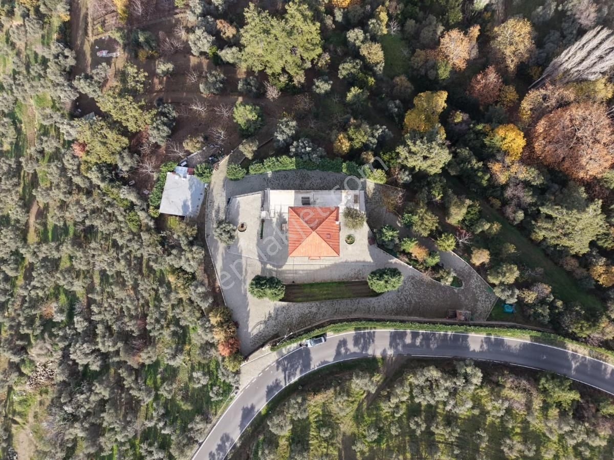 Şirincede Yatırımlık 43 Dönüm Satılık Çiftlik Evi Ve Arazisi - Görsel 4