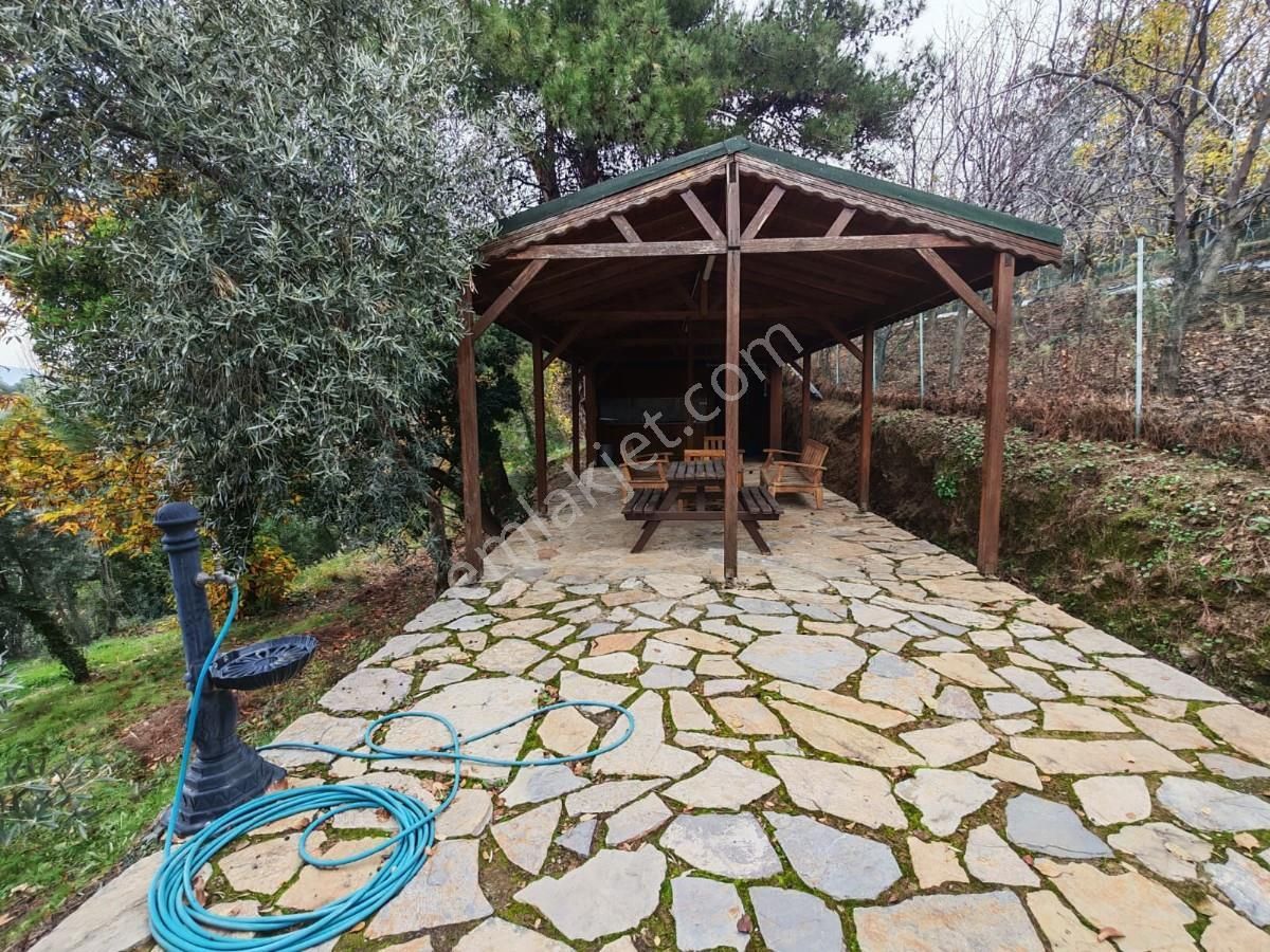 Şirincede Yatırımlık 43 Dönüm Satılık Çiftlik Evi Ve Arazisi - Görsel 21