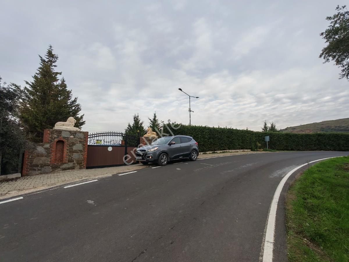 Şirincede Yatırımlık 43 Dönüm Satılık Çiftlik Evi Ve Arazisi - Görsel 29