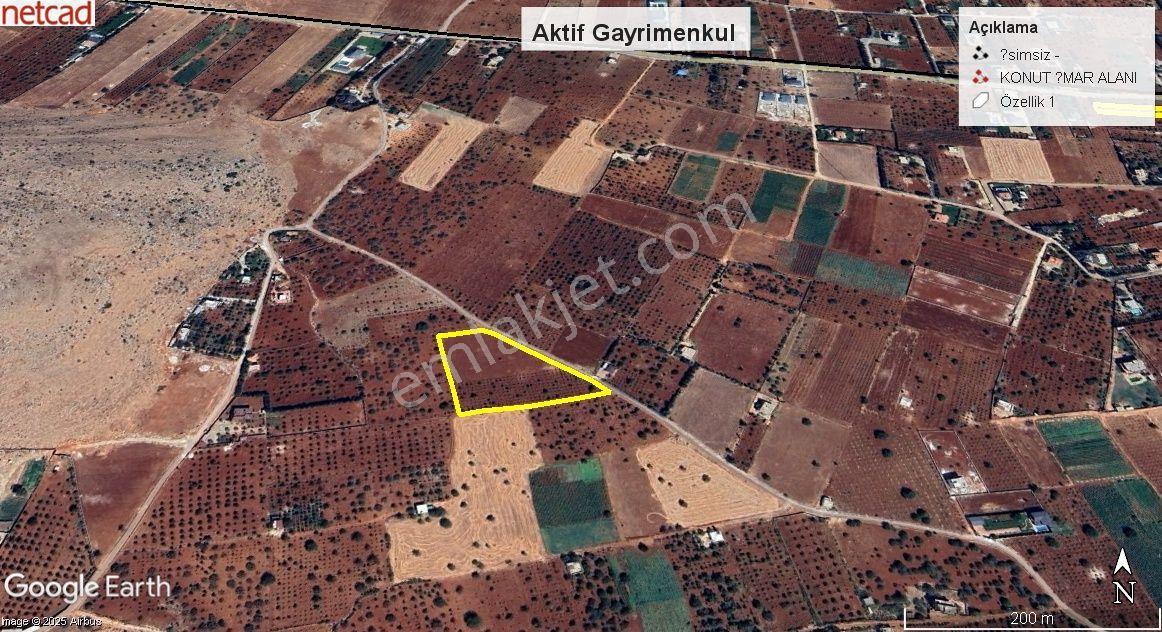Aktif'den Gerciğin'de Asfalt Üstü Satılık Bağ Evlik Arazi