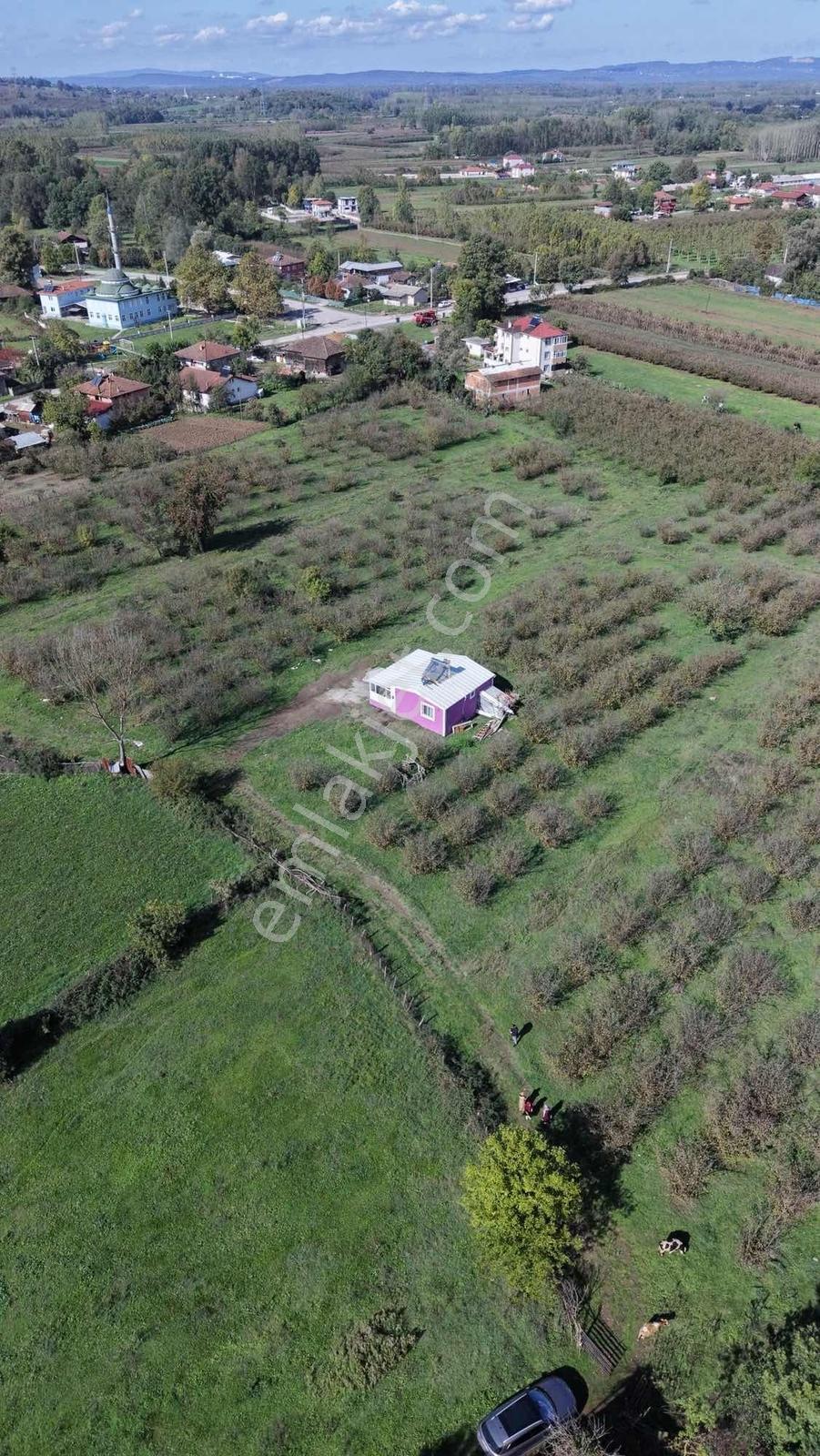 Hendek Köy Merkezinde 150 M2 İmar Planında Arsa - Görsel 13