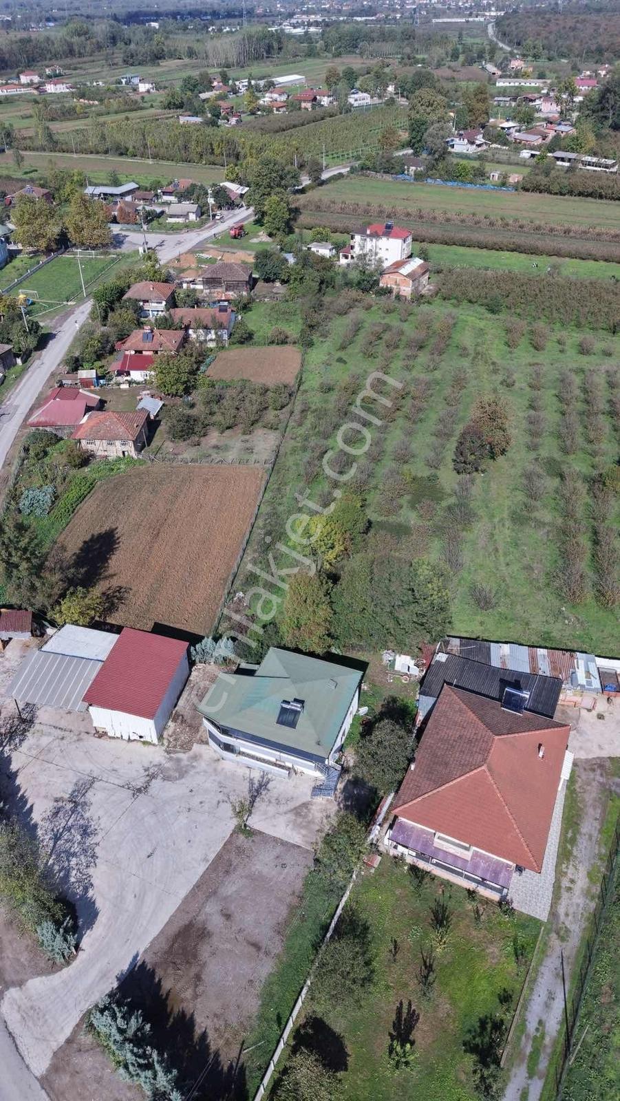 Hendek Köy Merkezinde 150 M2 İmar Planında Arsa - Görsel 14