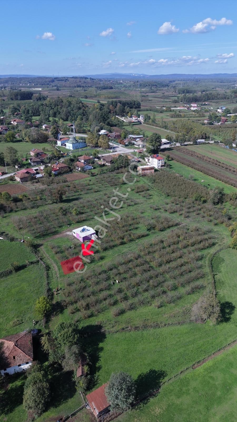Hendek Köy Merkezinde 150 M2 İmar Planında Arsa - Görsel 27