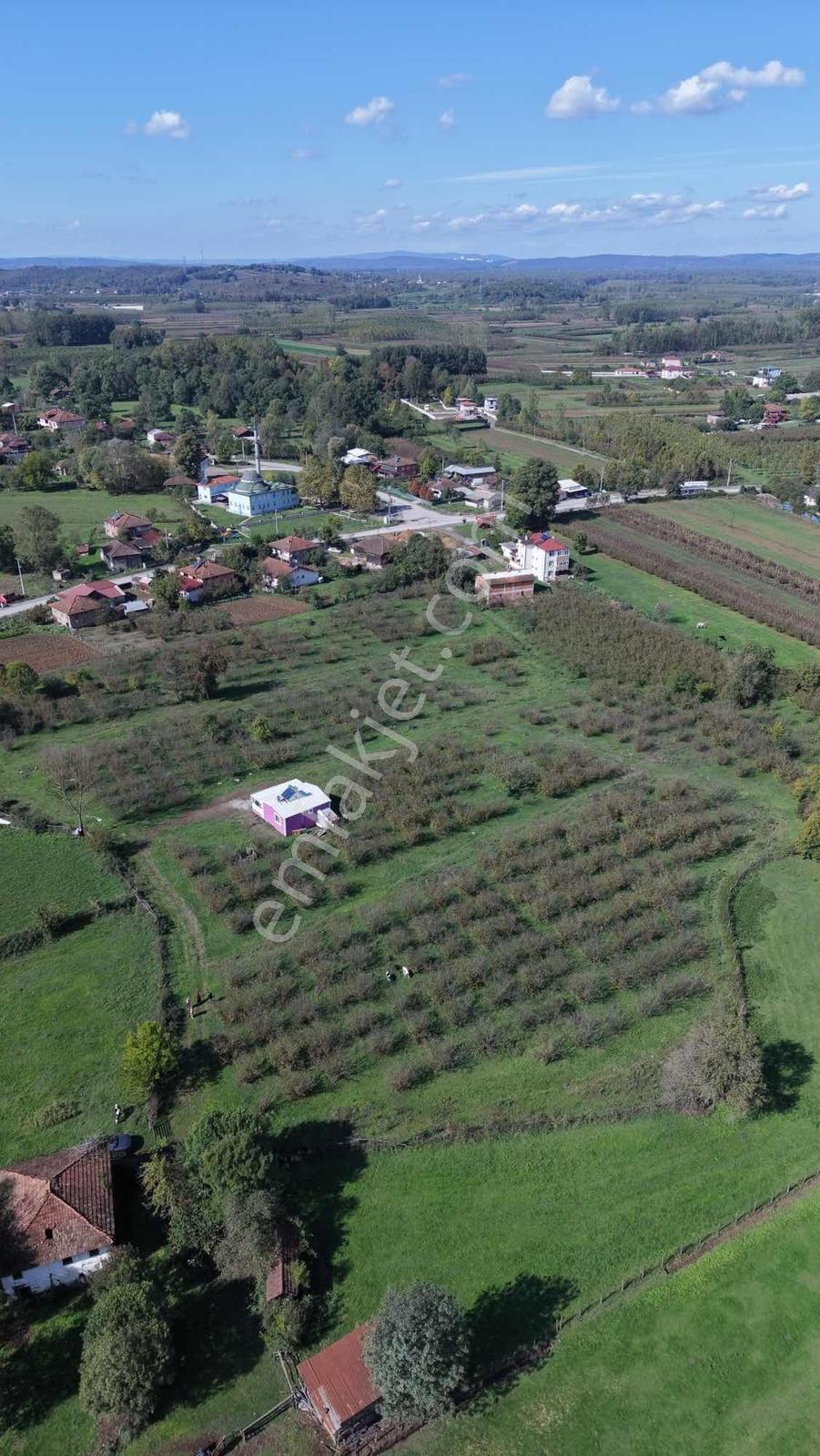 Hendek Köy Merkezinde 150 M2 İmar Planında Arsa - Görsel 9