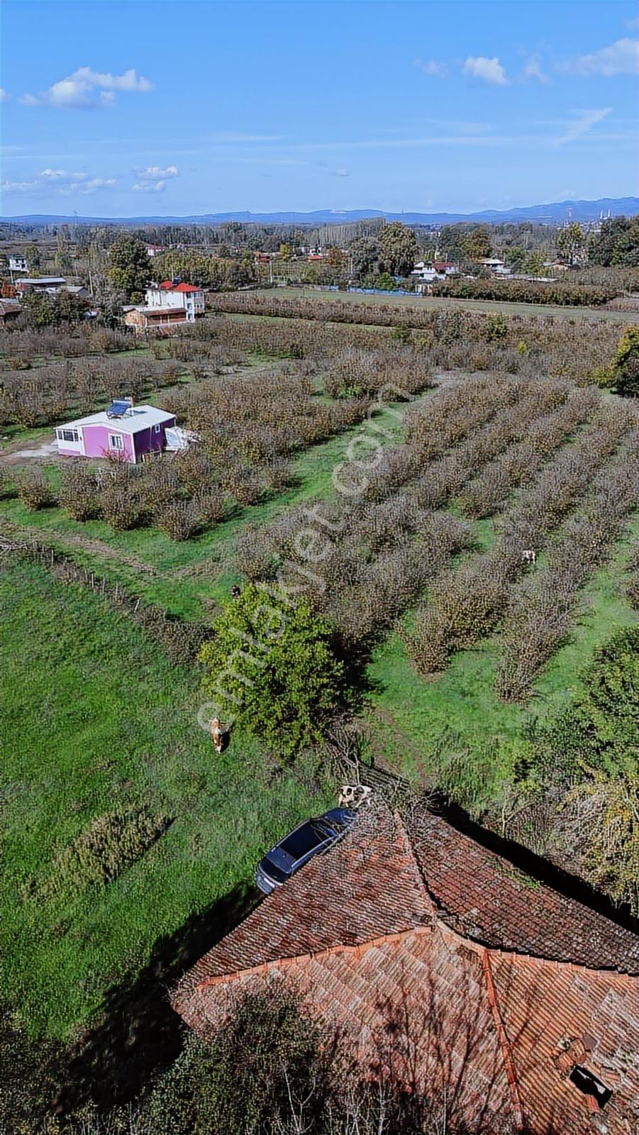 Hendek Köy Merkezi İmar Planında 300 M2 Arsa Tapulu - Görsel 3