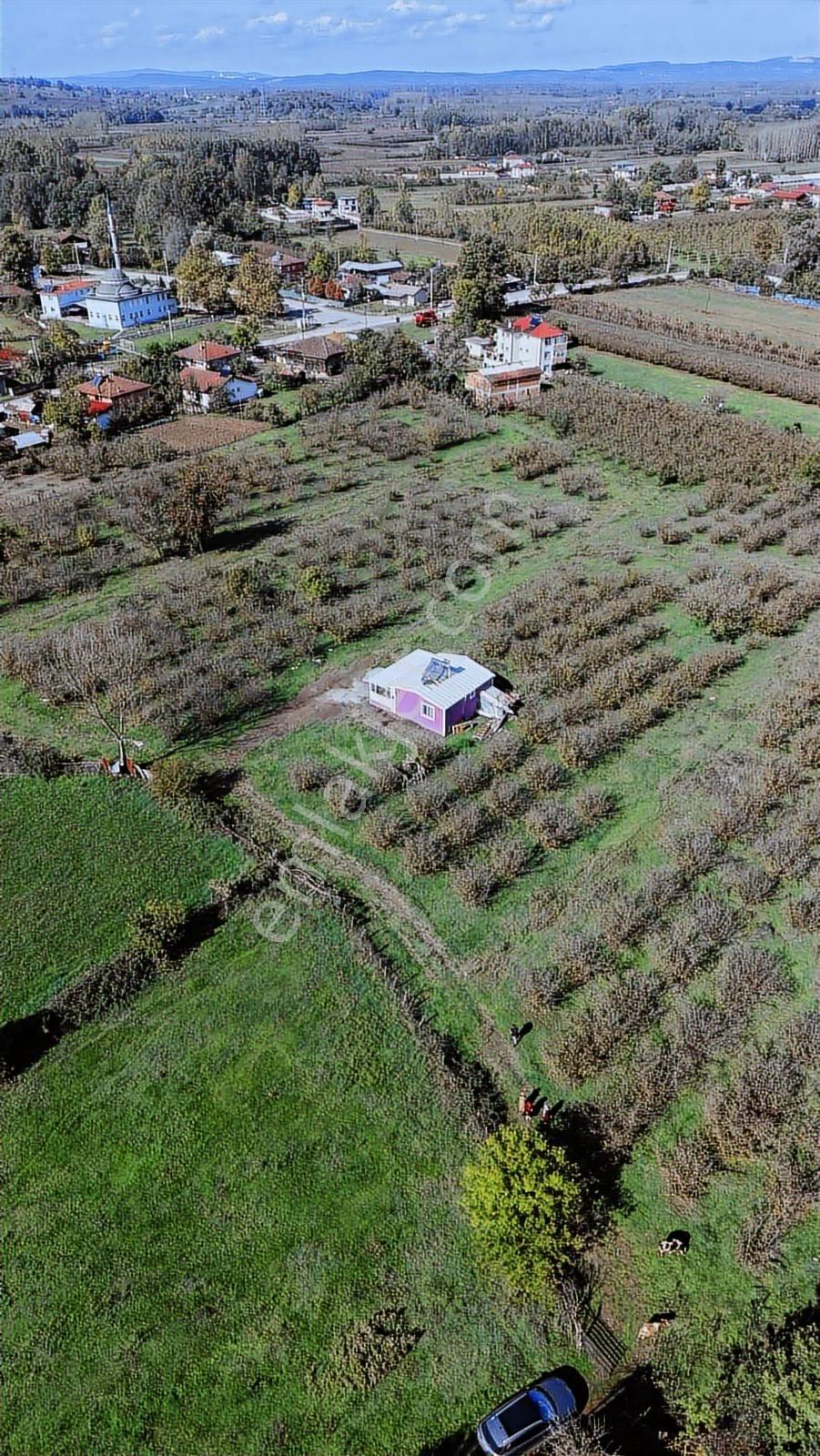Hendek Köy Merkezi İmar Planında 300 M2 Arsa Tapulu - Görsel 13