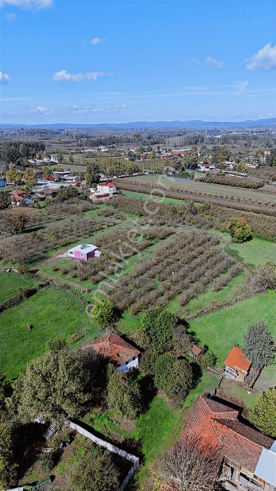Hendek Köy Merkezi İmar Planında 300 M2 Arsa Tapulu - Görsel 23