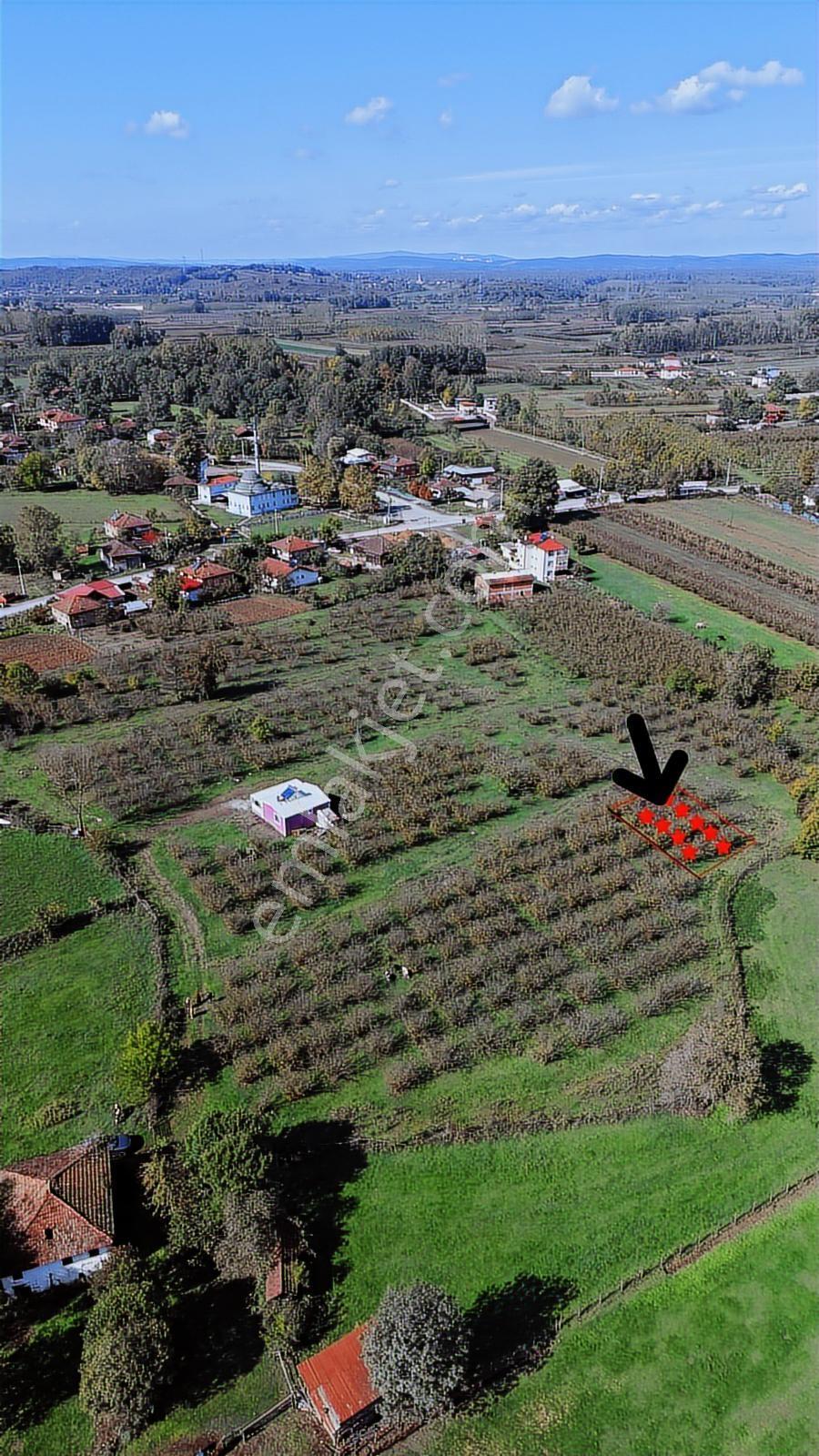 Hendek Köy Merkezi İmar Planında 300 M2 Arsa Tapulu - Görsel 27