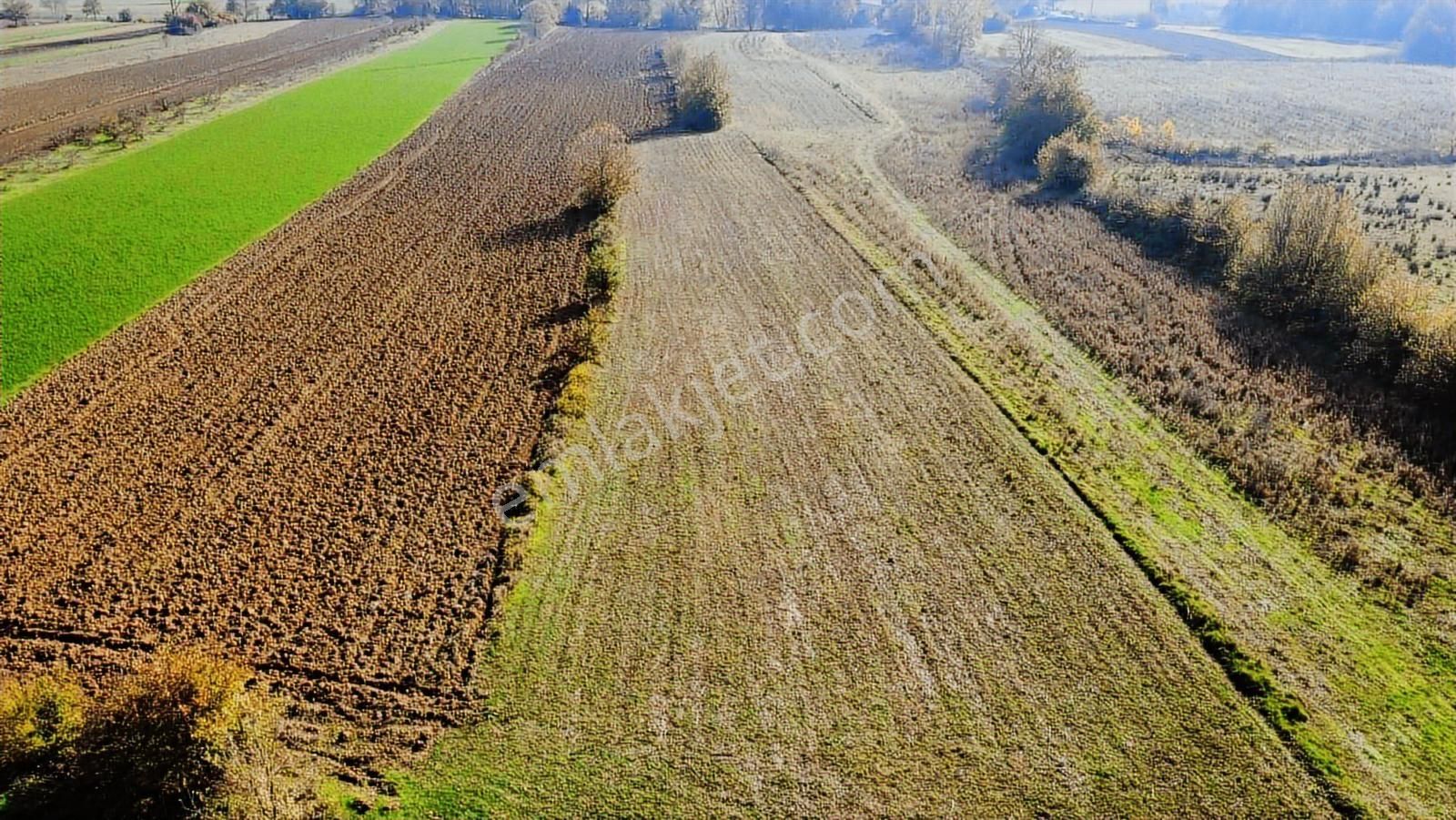 Yoldaş Emlaktan İzmit Şahinlerde 7.957 M2 Satılık Tarla - Görsel 4