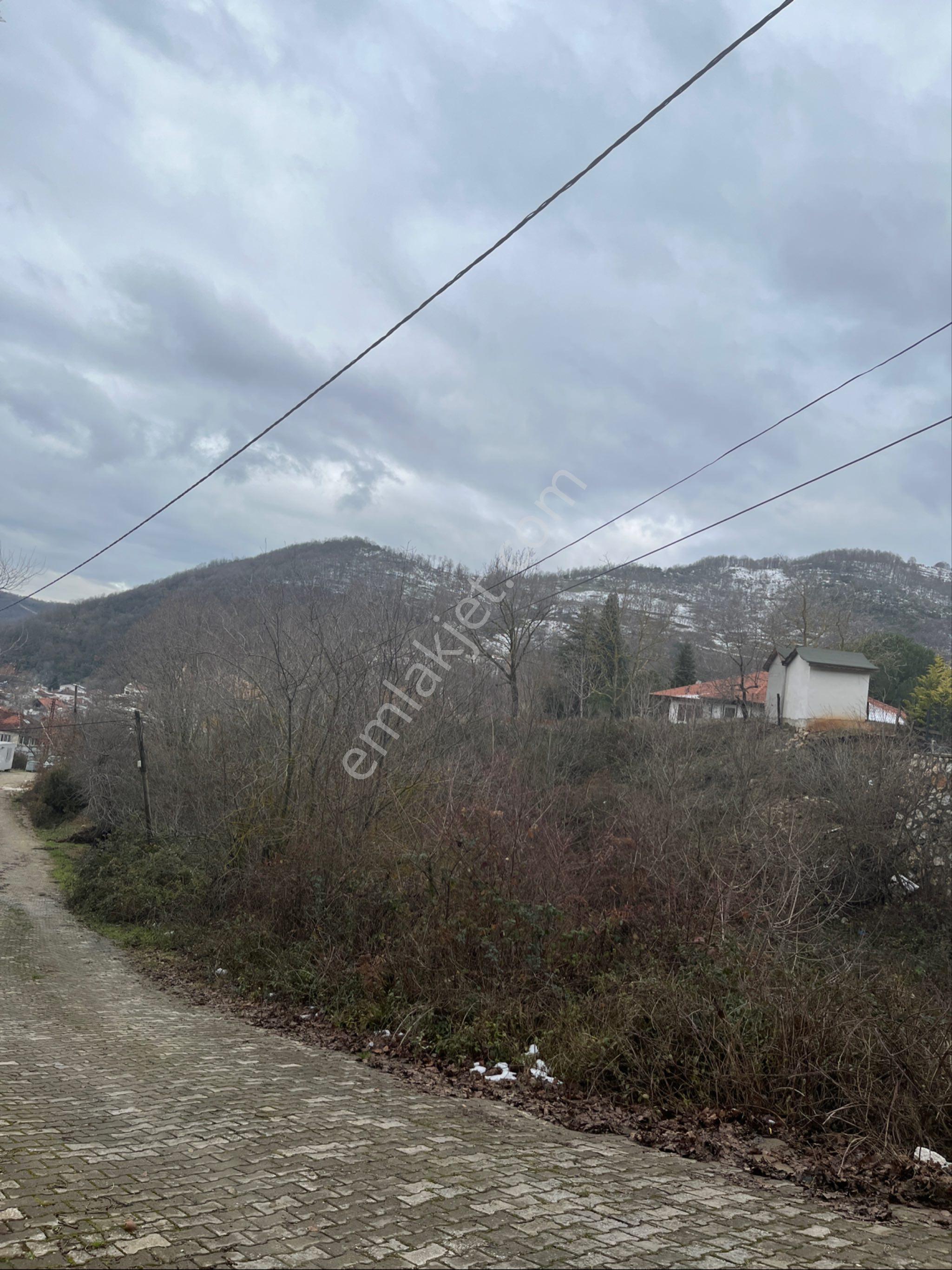 Yalova Güneyköy’de 3 Tarafı Yol, Yatırımlık Köşe Arsa - Görsel 5
