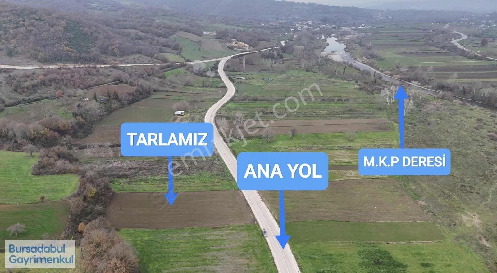 Bursadabul'dan Çavuş Mah.ana Asfalta Cephe Tarla 3.747m2