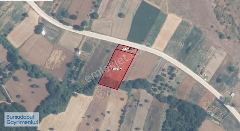 Bursadabul'dan Çavuş Mah.ana Asfalta Cephe Tarla 3.747m2 - Görsel 5