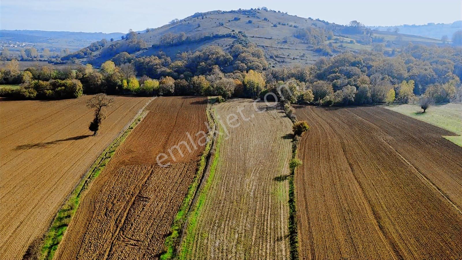 Yoldaş Emlaktan İzmit Şahinlerde 8.119 M2 Satılık Tarla - Görsel 7