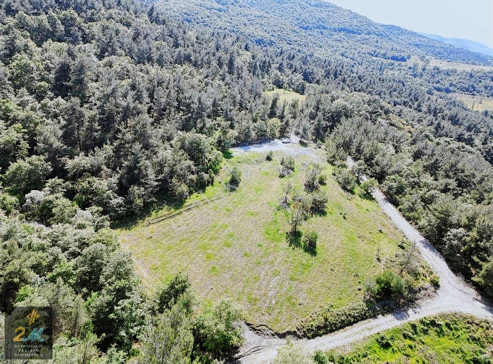 İznik Mustafalı Köyü Göl Ve Doğa Manzaralı Arazi - Görsel 7