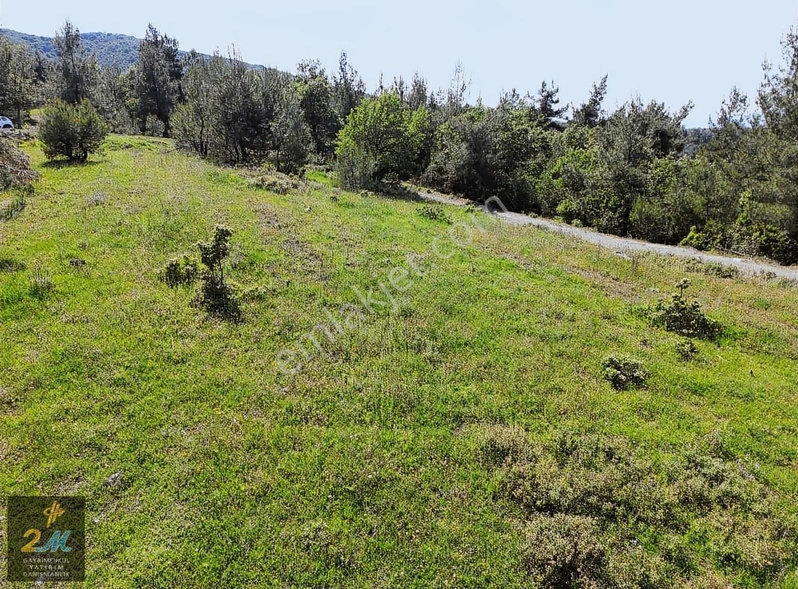 İznik Mustafalı Köyü Göl Ve Doğa Manzaralı Arazi - Görsel 4
