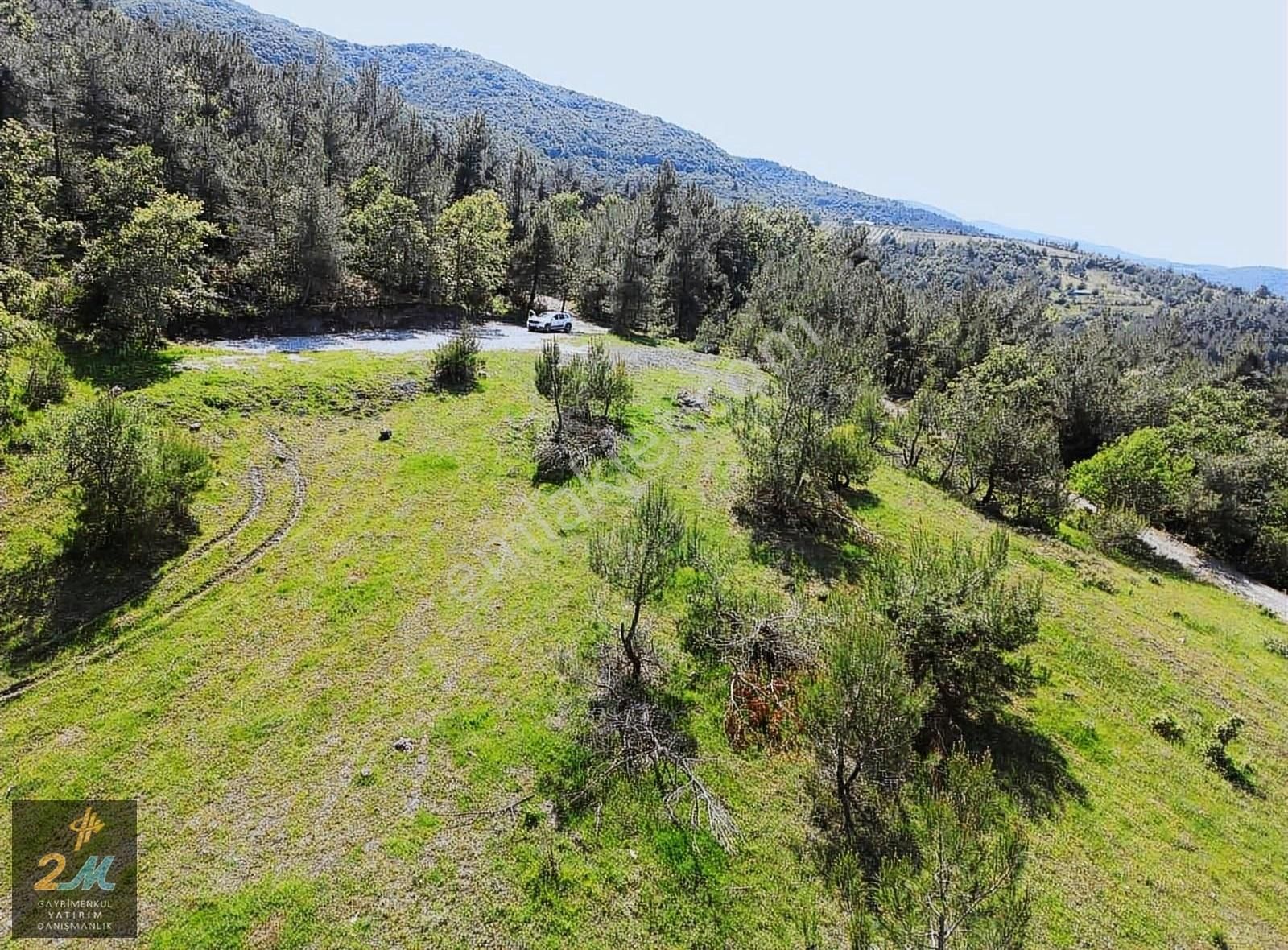 İznik Mustafalı Köyü Göl Ve Doğa Manzaralı Arazi - Görsel 11