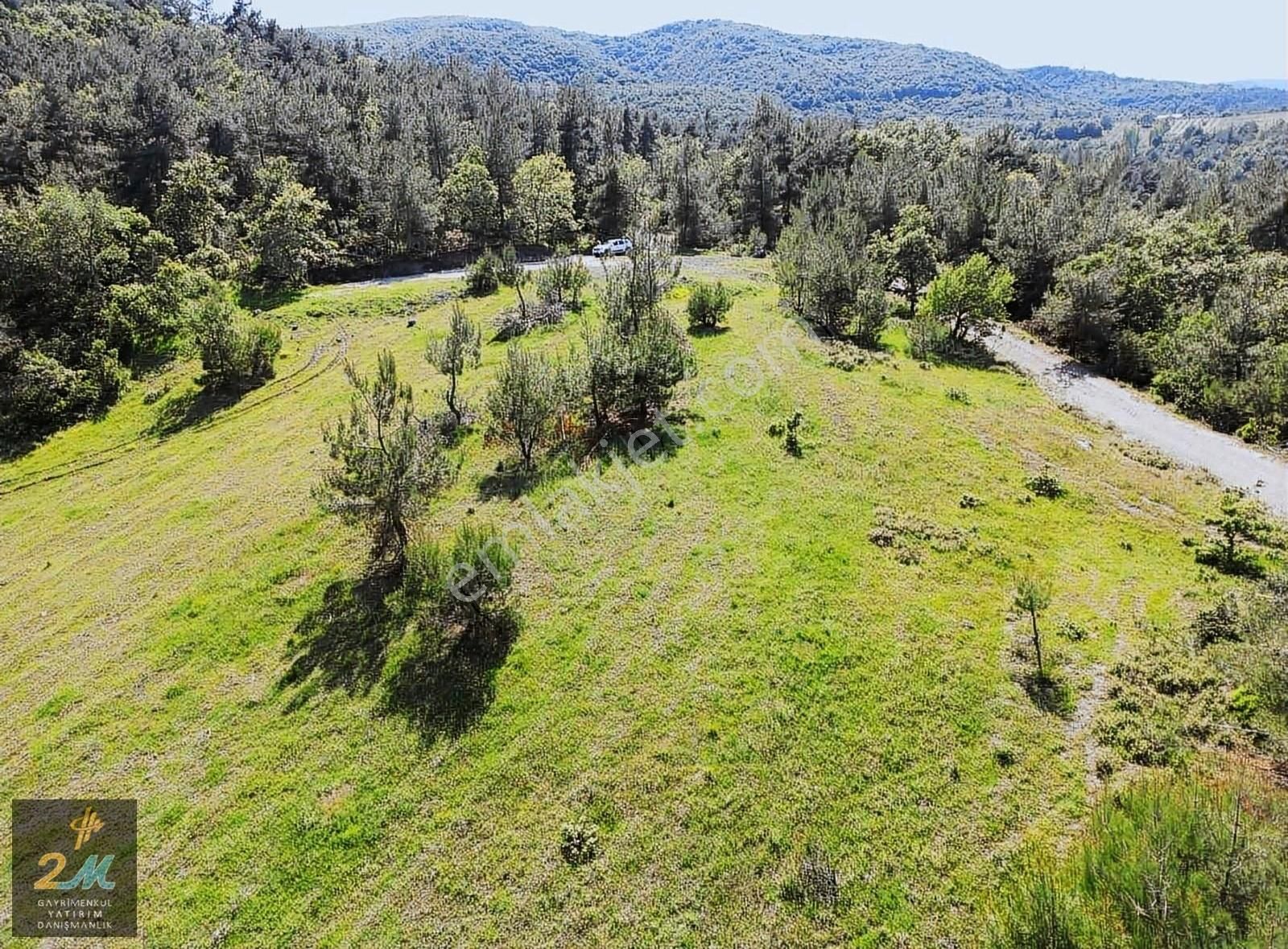 İznik Mustafalı Köyü Göl Ve Doğa Manzaralı Arazi - Görsel 9