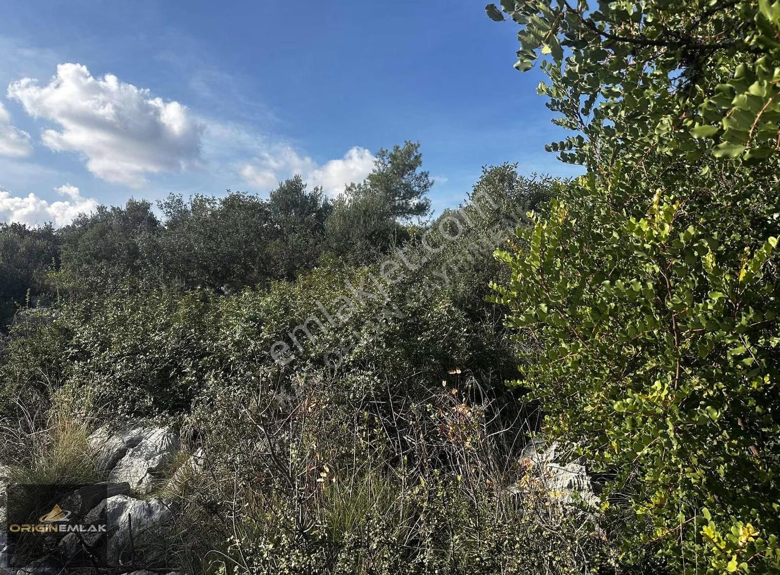 Eşi Benzeri Yok | Her Yanı Orman, 7.761 M² Tek Parsel