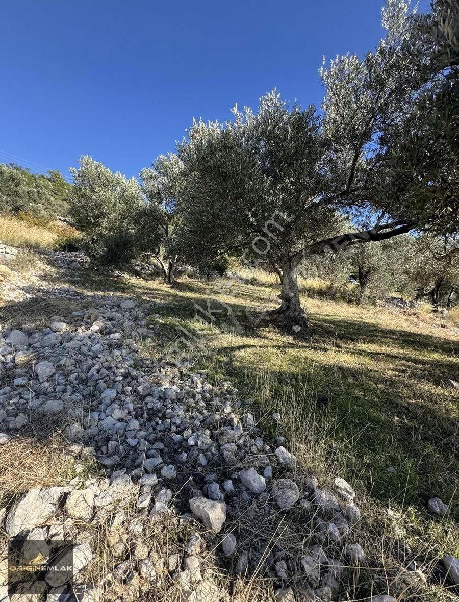 Deniz Manzaralı Son Fırsatlar - Görsel 3