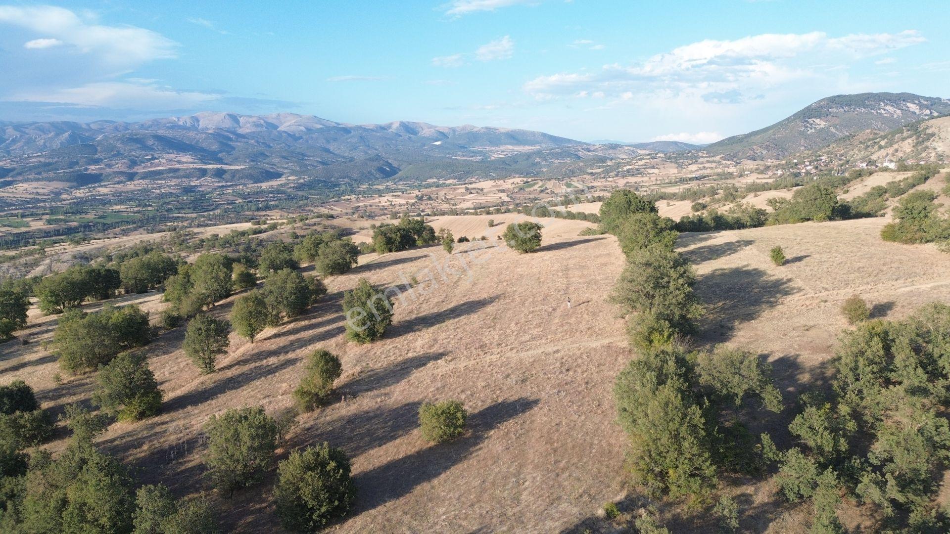 Amasya / Hamamözü / Damladere De 1.107 M² Müstakil Tarla - Görsel 7