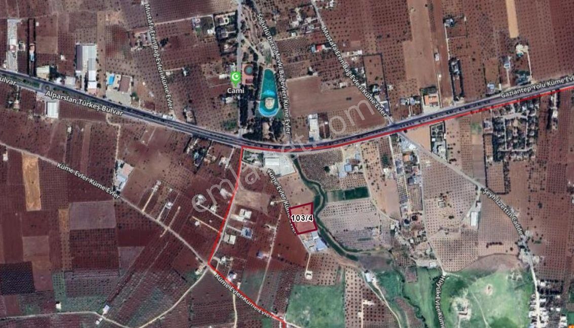 Uyaran 79'dan Dolce Vitanın Arkasında 5 Dönüm İçi Boş Bağ