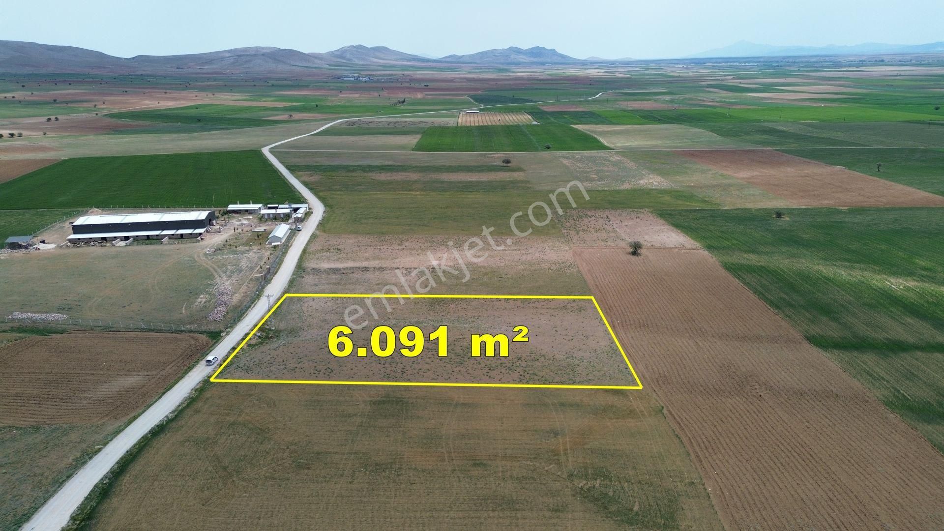 Konya / Meram / Hatunsaray Mahallesinde 6.091 M² Müstakil Tapulu Tarla - Görsel 2