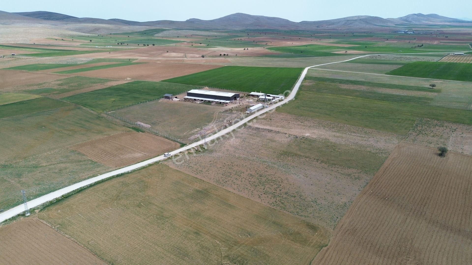 Konya / Meram / Hatunsaray Mahallesinde 6.091 M² Müstakil Tapulu Tarla - Görsel 7