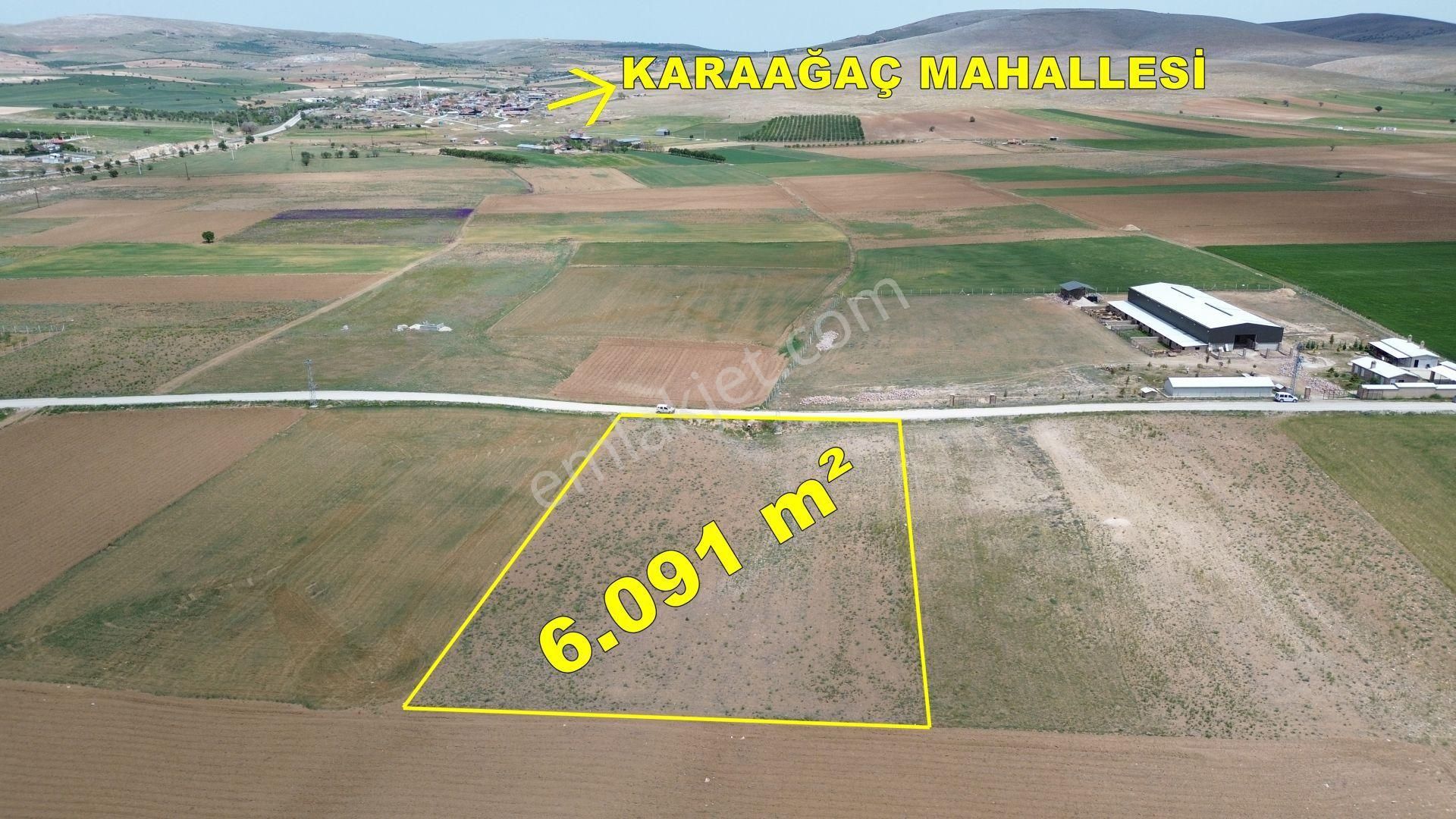 Konya / Meram / Hatunsaray Mahallesinde 6.091 M² Müstakil Tapulu Tarla - Görsel 3
