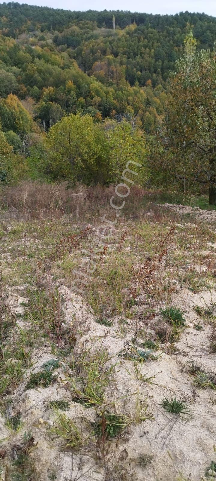 Bursa Osmangazi Bağlı Köyünde Satılık Tarla - Görsel 6