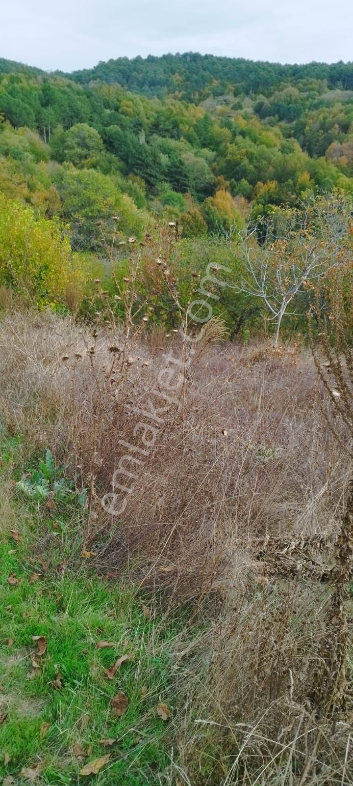 Bursa Osmangazi Bağlı Köyünde Satılık Tarla - Görsel 3