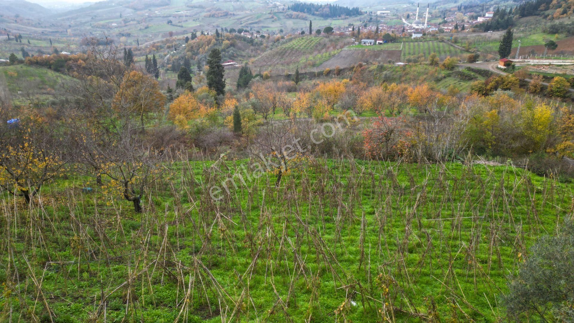 Uzmanlar'dan Karamürsel Akçat %5 İmarlı 2305 M² Satılık Tarla - Görsel 6