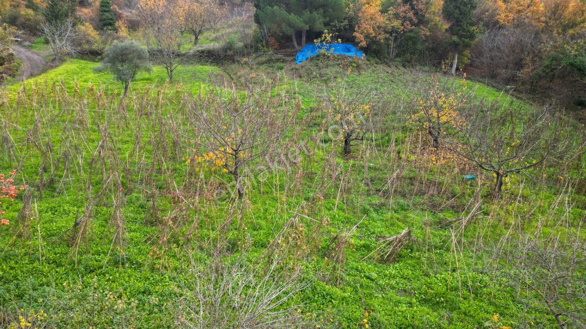 Uzmanlar'dan Karamürsel Akçat %5 İmarlı 2305 M² Satılık Tarla - Görsel 8