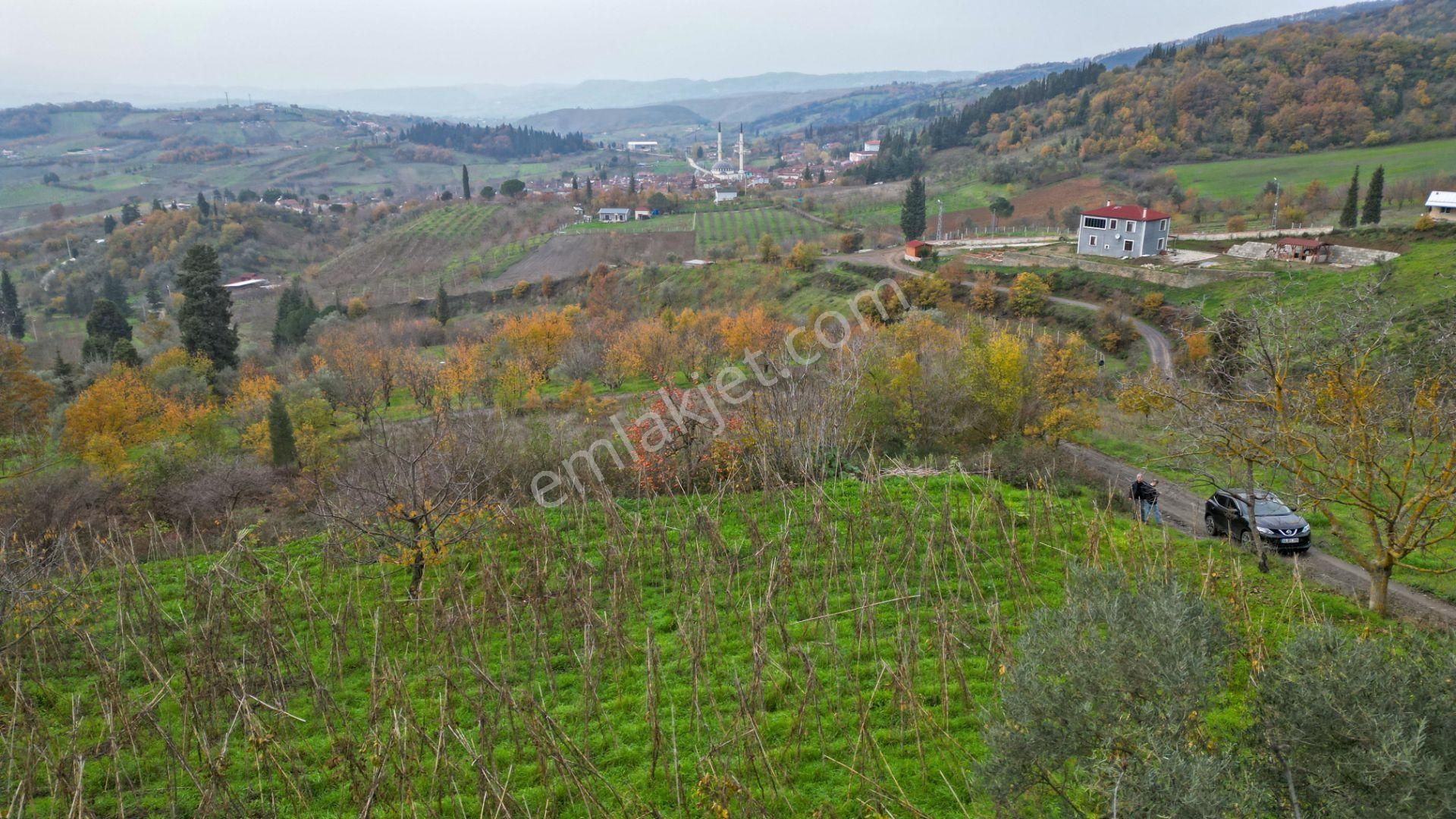 Uzmanlar'dan Karamürsel Akçat %5 İmarlı 2305 M² Satılık Tarla - Görsel 7