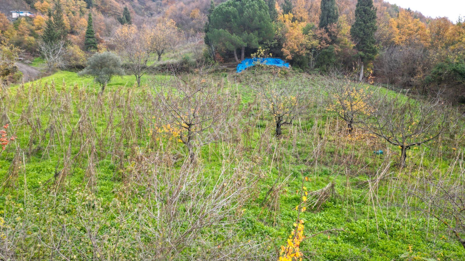 Uzmanlar'dan Karamürsel Akçat %5 İmarlı 2305 M² Satılık Tarla - Görsel 9