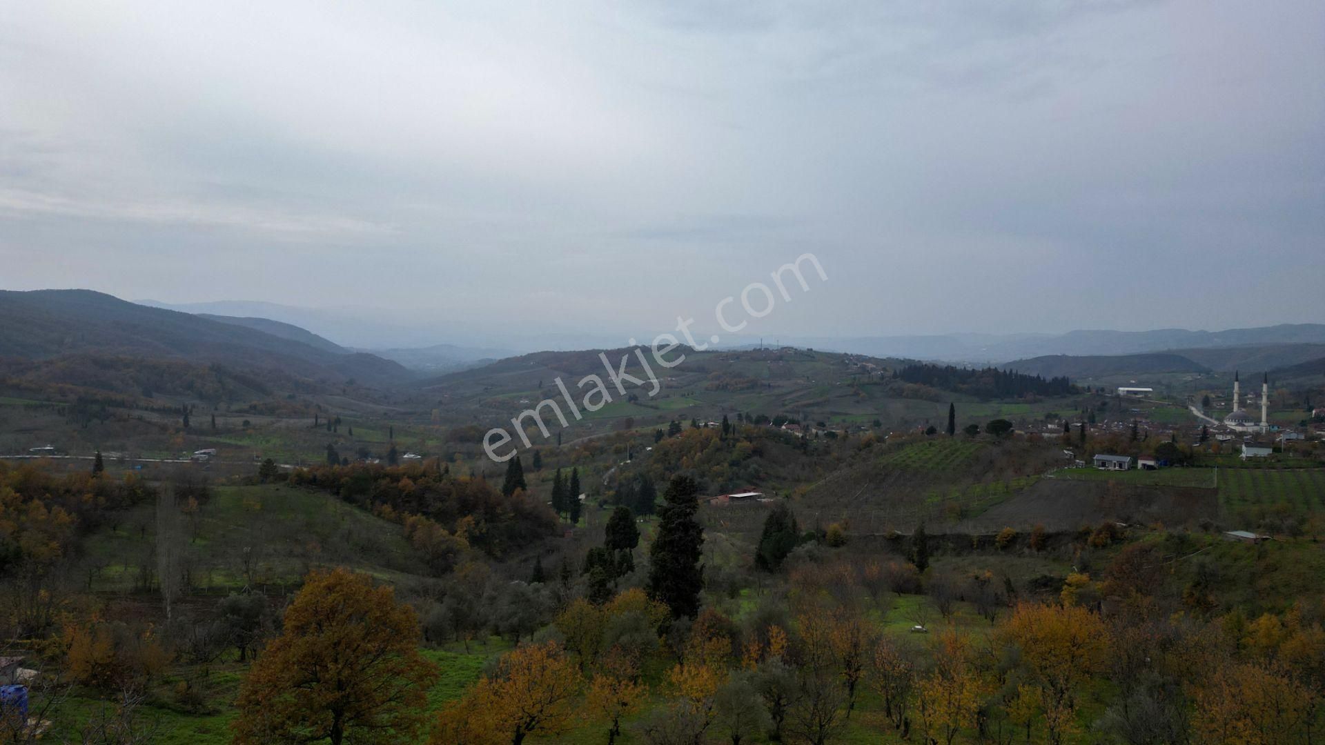 Uzmanlar'dan Karamürsel Akçat %5 İmarlı 2305 M² Satılık Tarla - Görsel 11