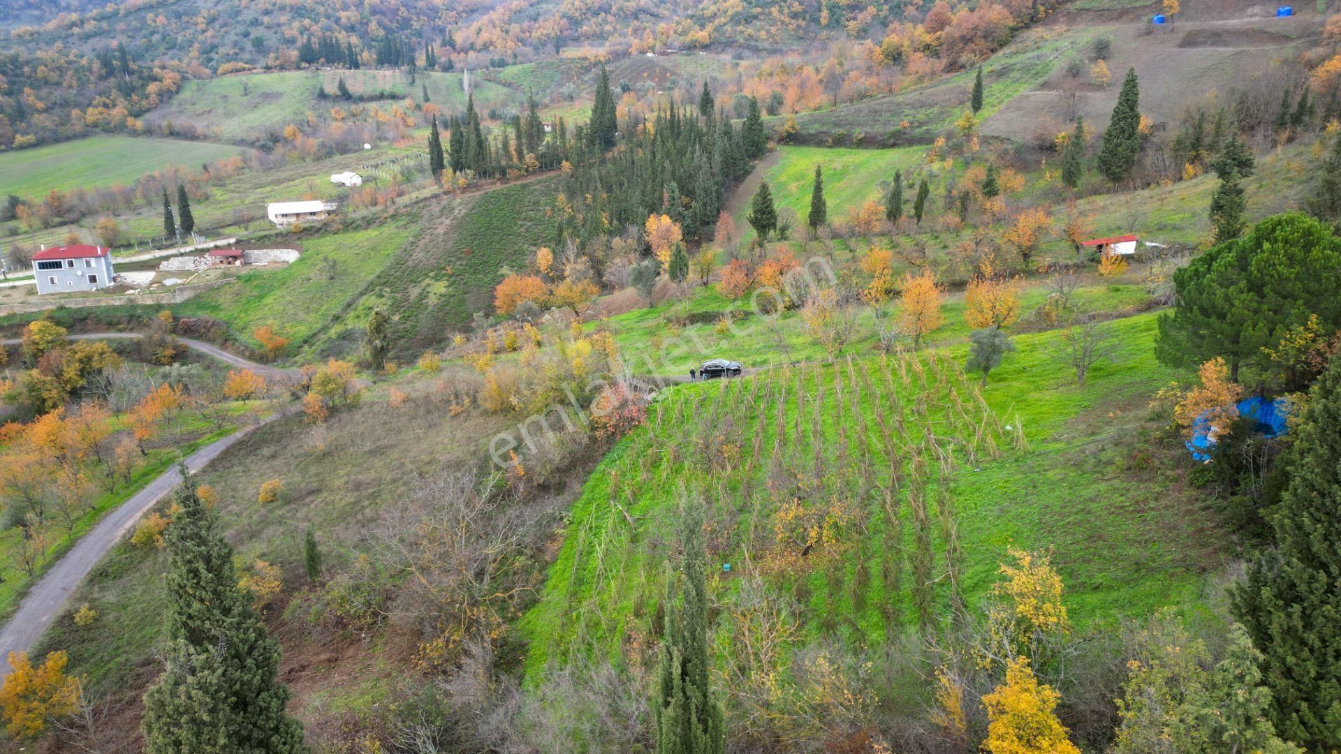 Uzmanlar'dan Karamürsel Akçat %5 İmarlı 2305 M² Satılık Tarla - Görsel 3