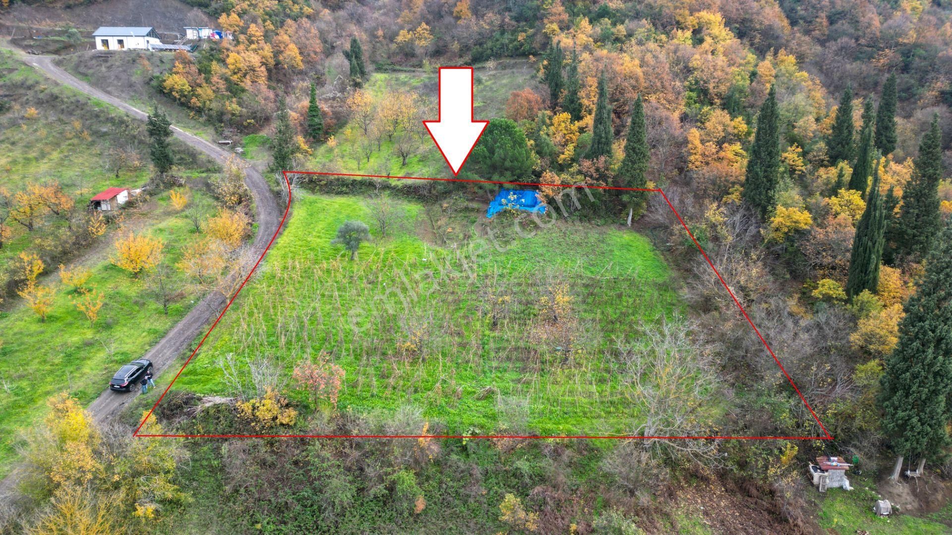 Uzmanlar'dan Karamürsel Akçat %5 İmarlı 2305 M² Satılık Tarla