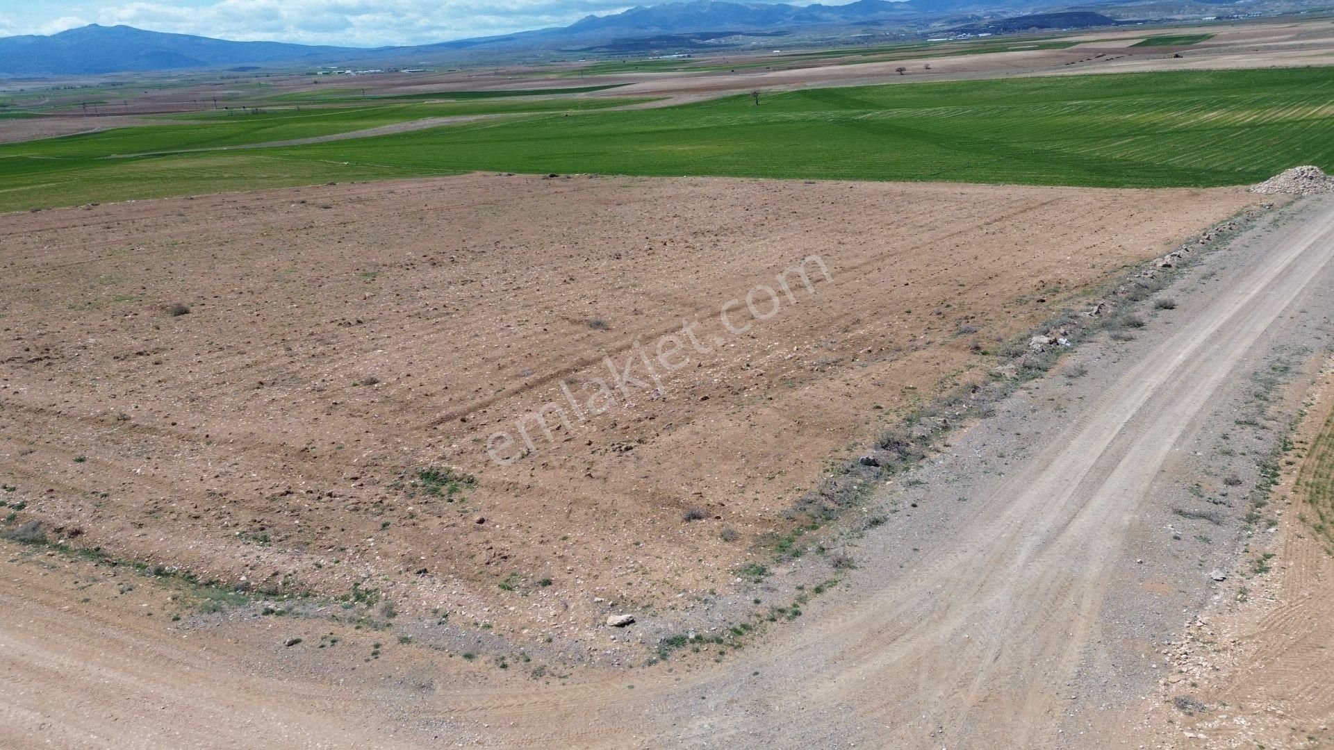 Konya / Meram / Kavak Mahallesinde 11.753 M² Müstakil Tapulu Tarla - Görsel 7